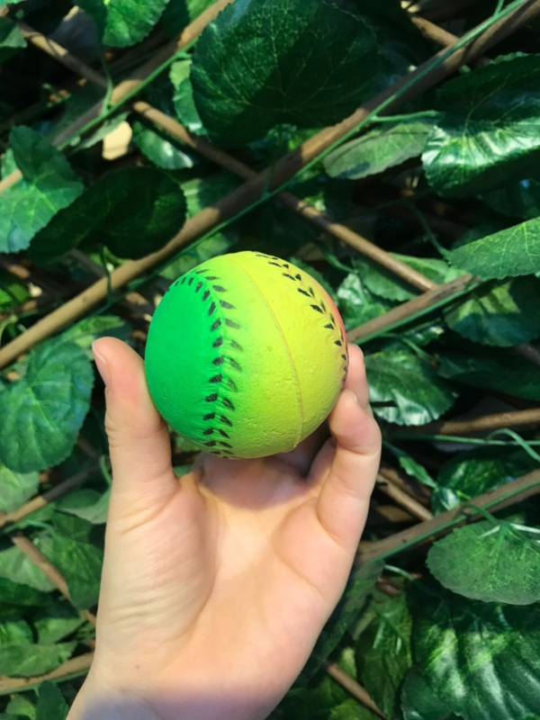 Pelotas de goma para perros con diseÃ±os