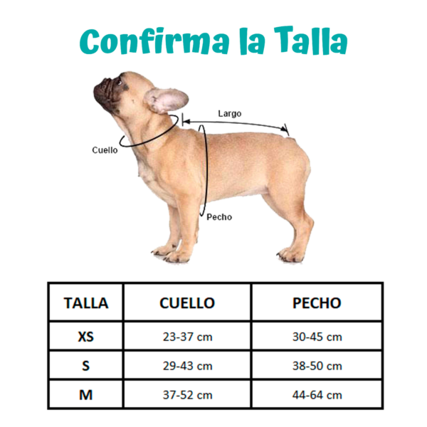 Arnes Perros con Correa razas Medianas