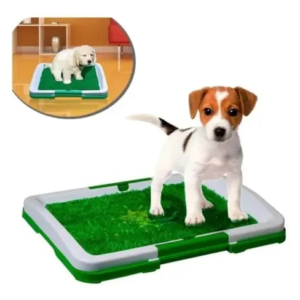 Tapete Para Entrenamiento De Perros en Manizales, Cali, Bogotá y Colombia