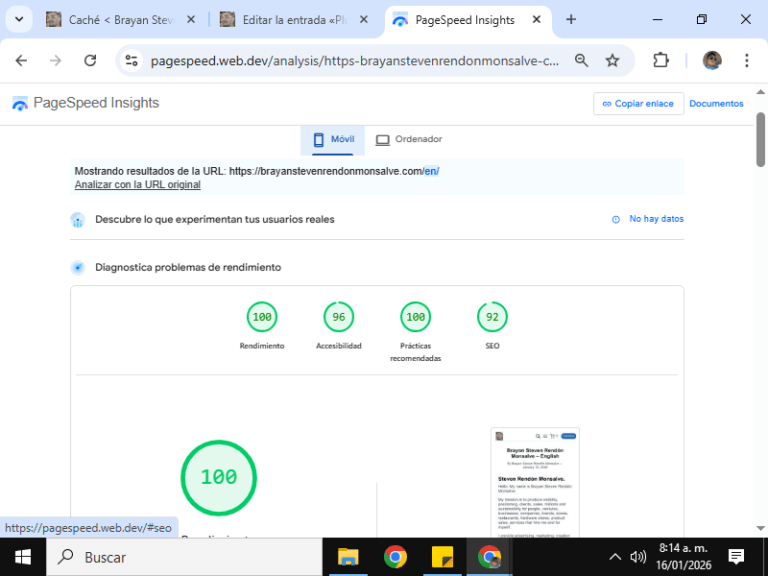 Plugins de cache y rendimiento testeo aplicación en mi sitio web